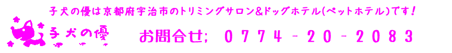 子犬の優は京都府宇治市のトリミングサロン＆ドッグホテル（ペットホテル）です！
